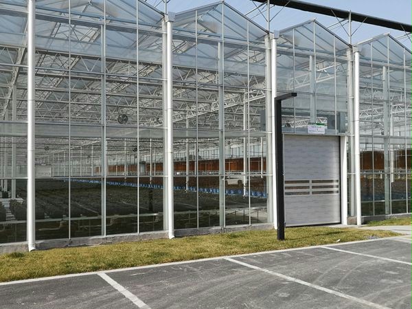 硬质快速门 硬质快速门